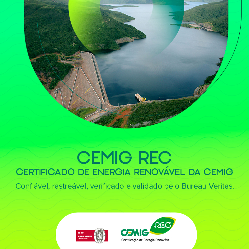 Cemig - certificado.jpg